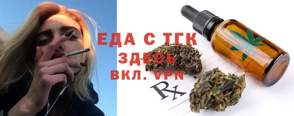 гидра Вяземский