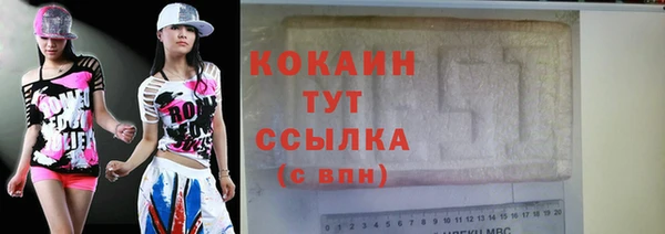 гидра Вяземский