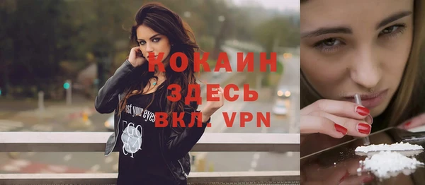 гидра Вяземский