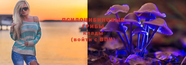 гидра Вяземский