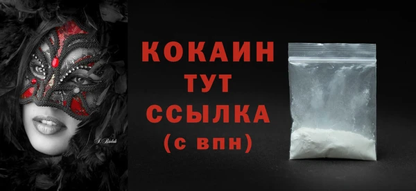 гидра Вяземский