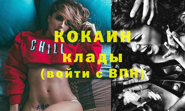 гидра Вяземский