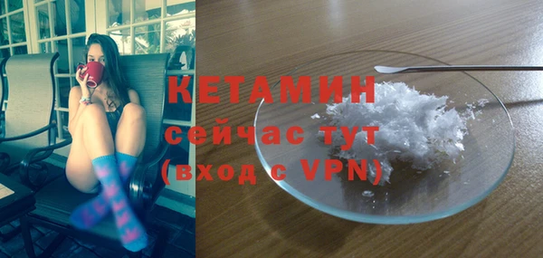 гидра Вяземский
