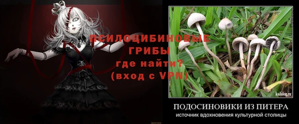 гидра Вяземский