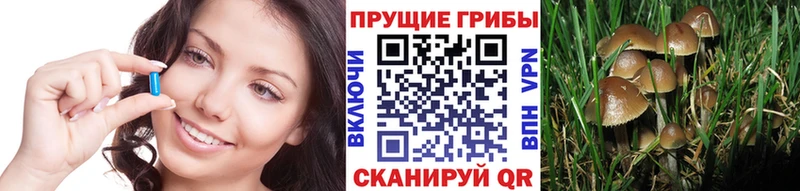 Галлюциногенные грибы мицелий  где найти наркотики  Покровск 
